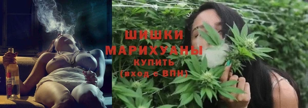 стаф Магадан