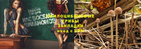 стаф Магадан
