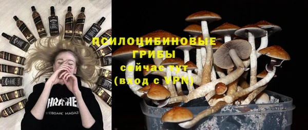 стаф Магадан