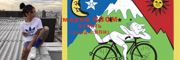 молекула духа Майский