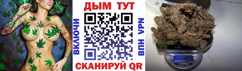 Канабис тримм  мега онион  Рыльск  цены  